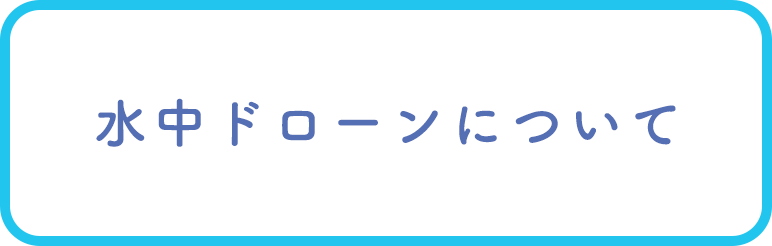 水中ドローンについて